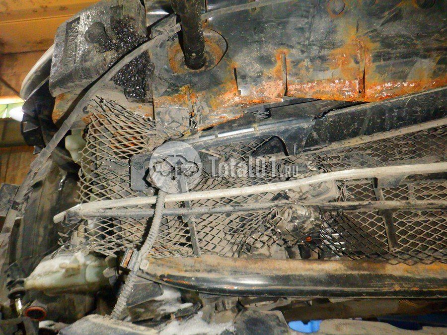 Фото Volkswagen Beetle 314