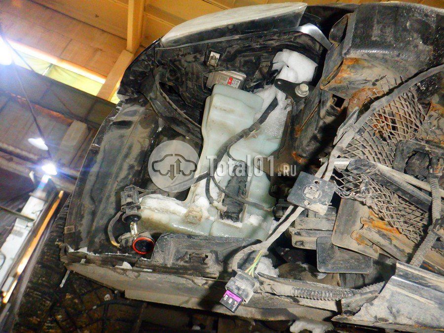 Фото Volkswagen Beetle 316