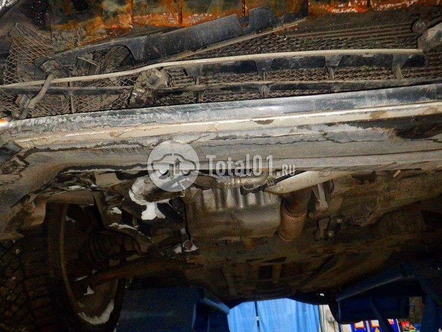 Фото Volkswagen Beetle 318