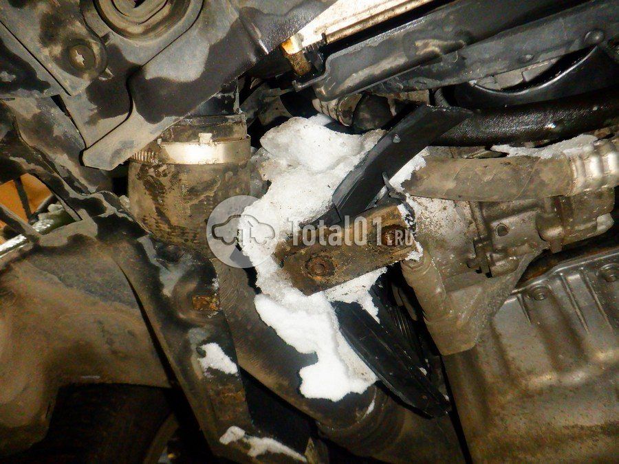 Фото Volkswagen Beetle 322