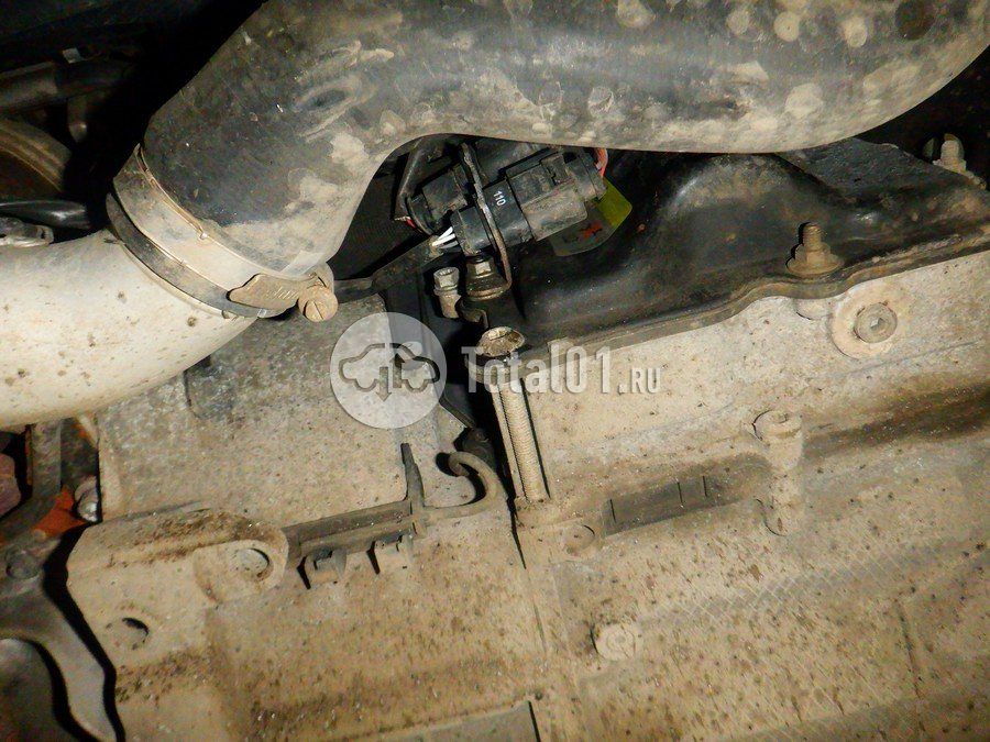 Фото Volkswagen Beetle 336