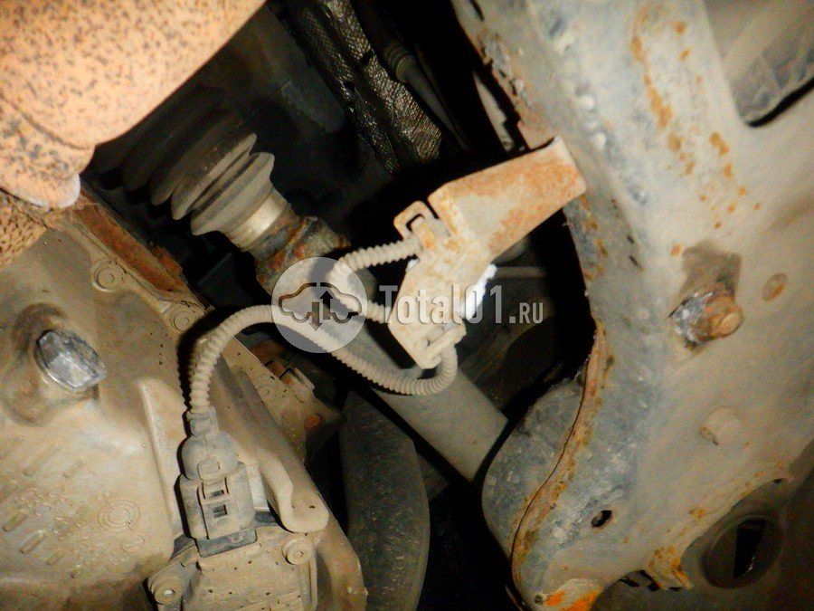 Фото Volkswagen Beetle 342