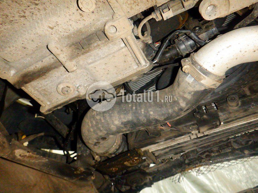 Фото Volkswagen Beetle 390