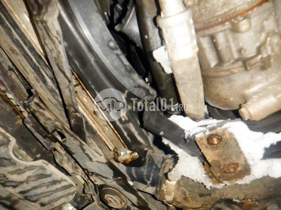 Фото Volkswagen Beetle 392