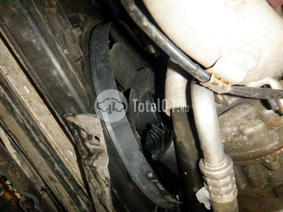 Фото Volkswagen Beetle 394