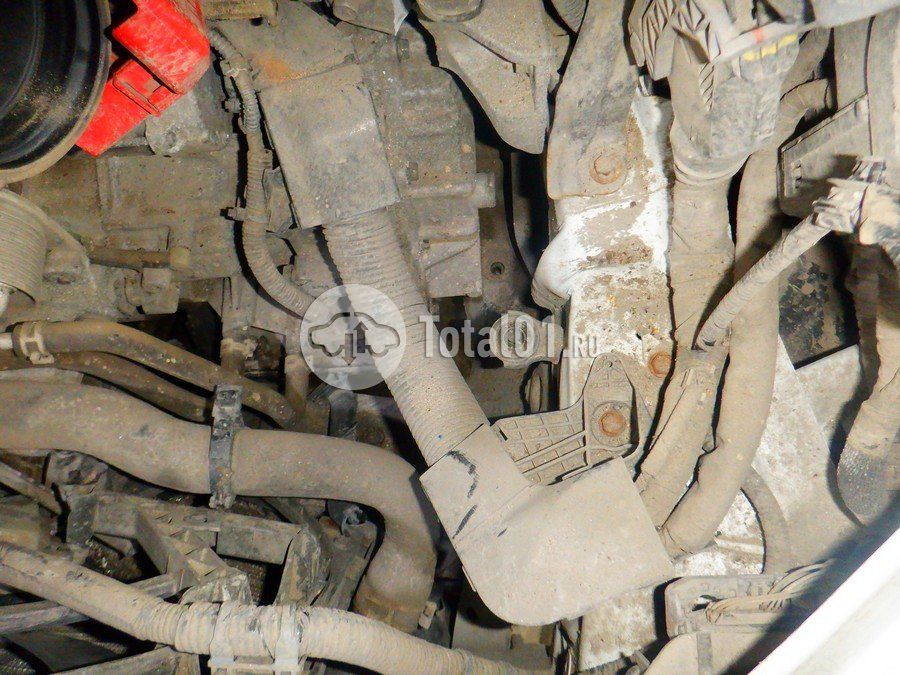 Фото Toyota Camry 238