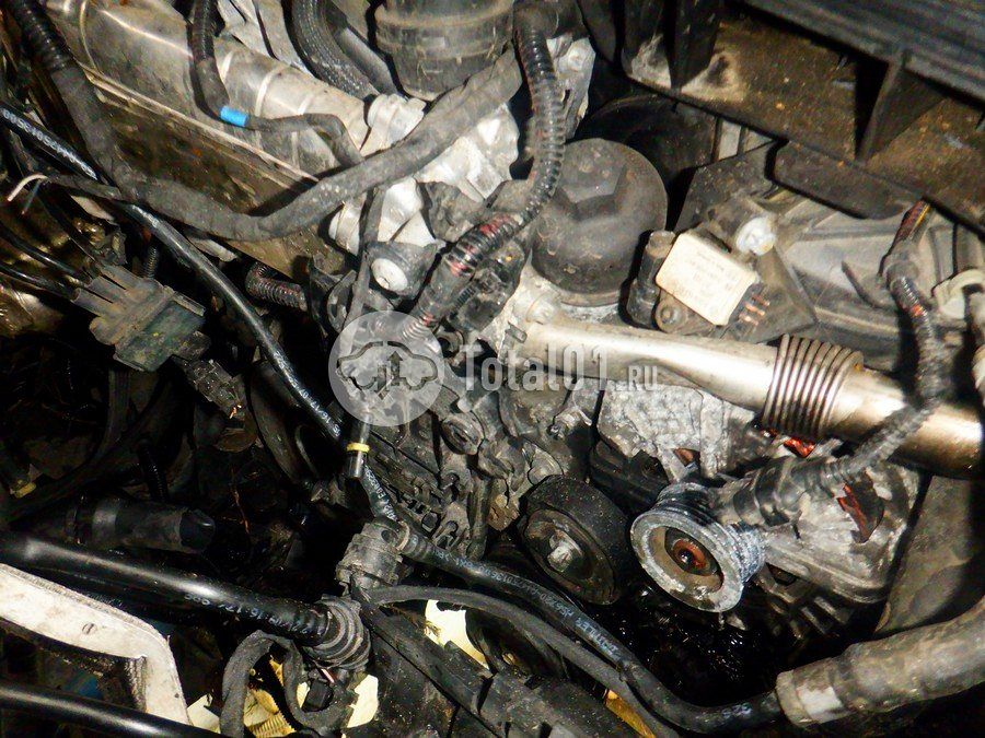 Фото Mercedes-Benz V-класс 244