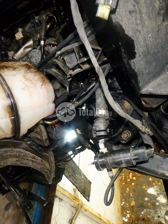 Фото Mercedes-Benz V-класс 252