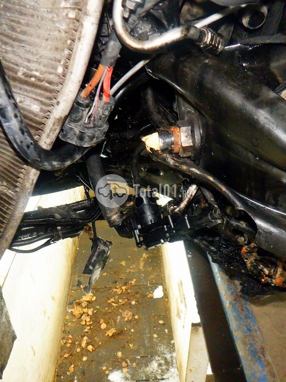 Фото Mercedes-Benz V-класс 258