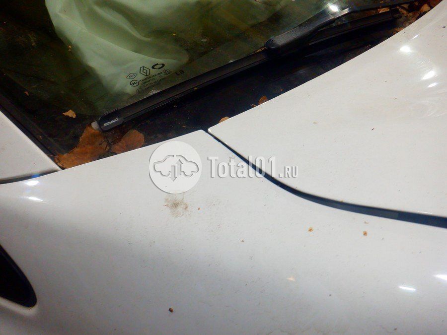 Фото Renault Koleos 122