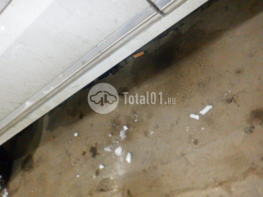 Фото Renault Koleos 192