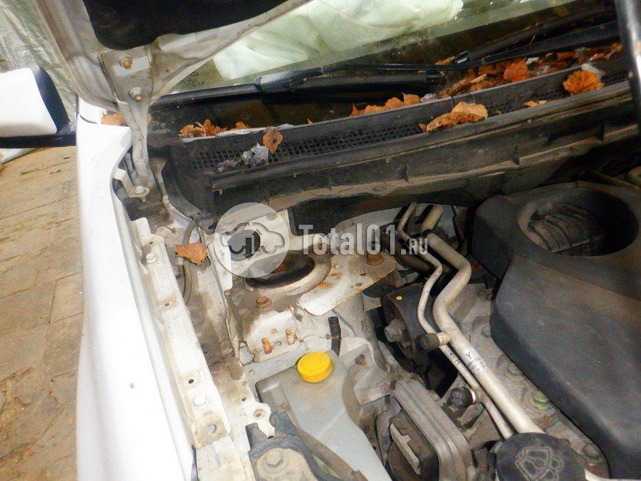 Фото Renault Koleos 230