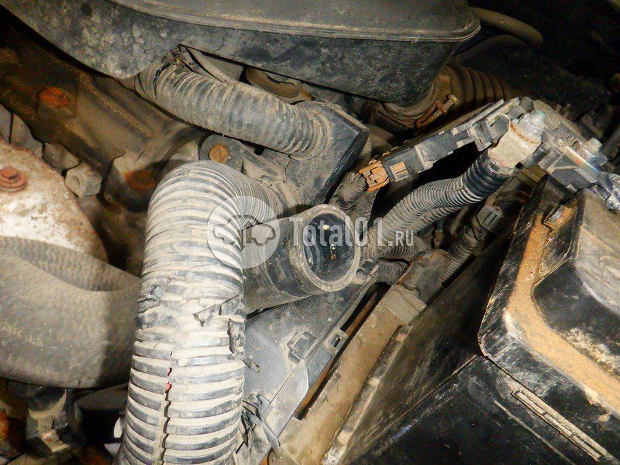 Фото Renault Koleos 286