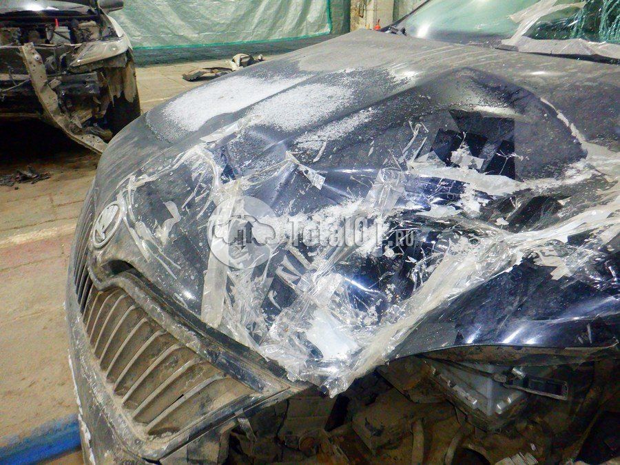 Фото Skoda Rapid 176