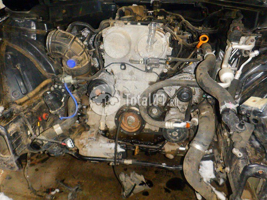 Фото KIA Stinger 228