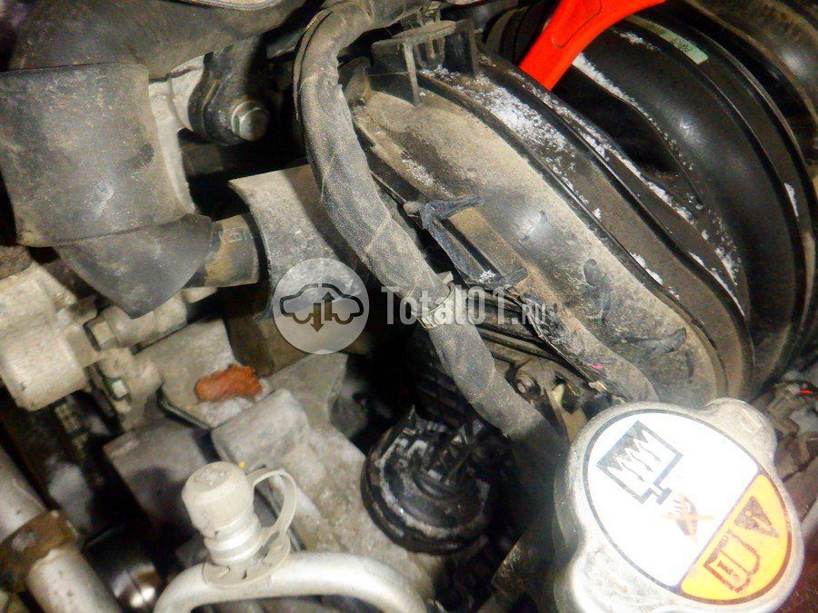 Фото KIA Optima 282