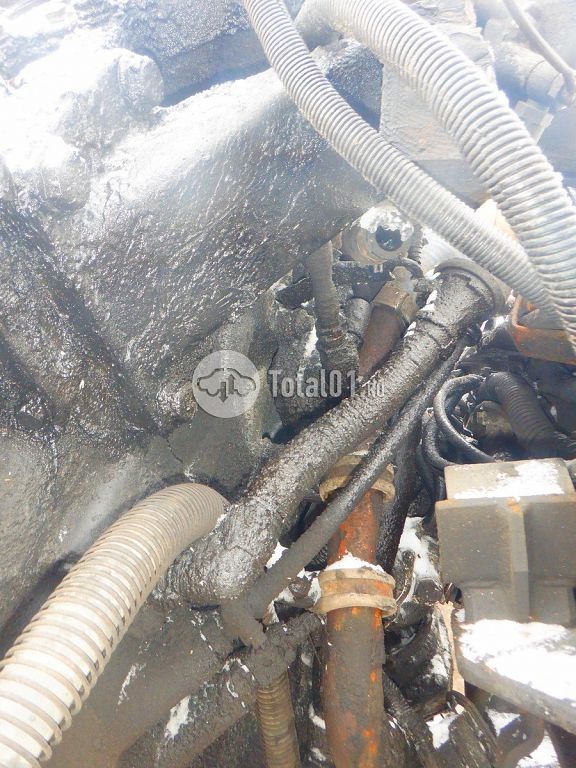 Фото Камаз 65206 220