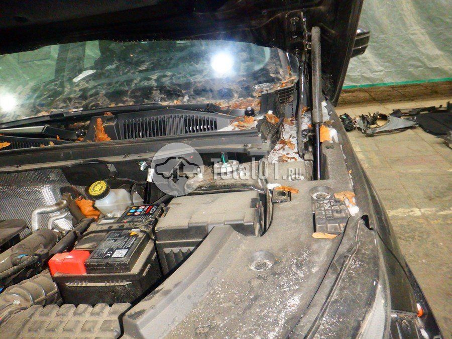 Фото OMODA C5 204