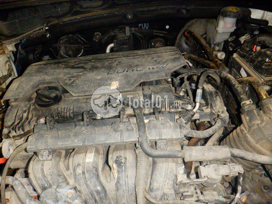 Фото KIA Sportage 286