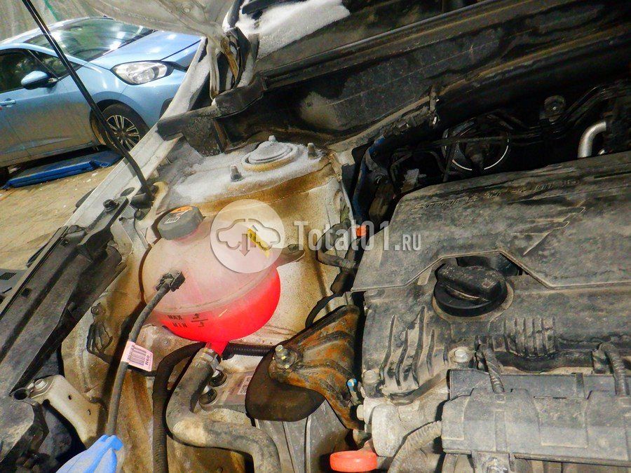 Фото KIA Sportage 290