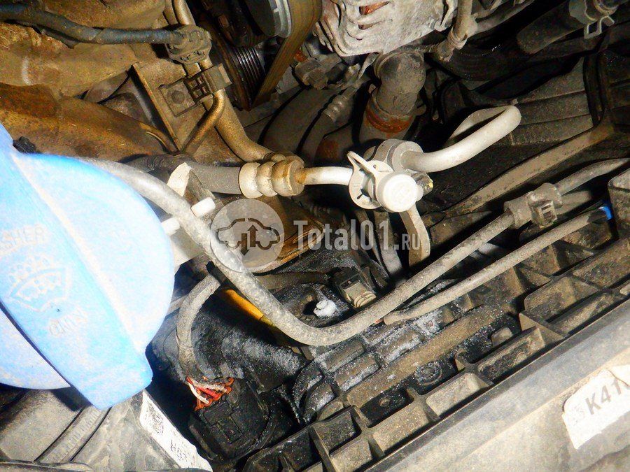 Фото KIA Sportage 310