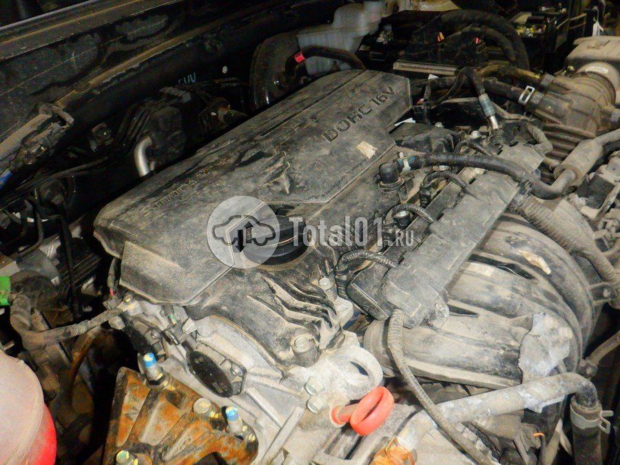 Фото KIA Sportage 316