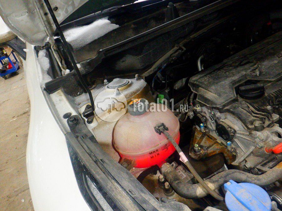 Фото KIA Sportage 318