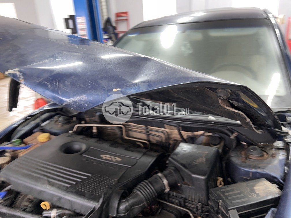 Фото Vortex Estina 12