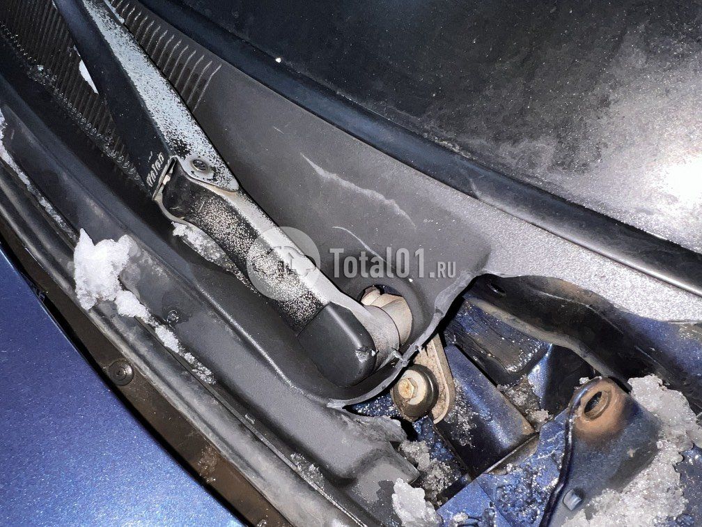 Фото Vortex Estina 18