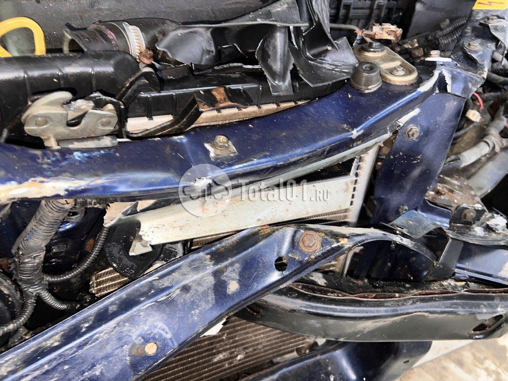 Фото Vortex Estina 28