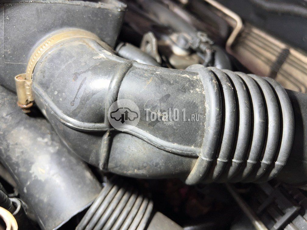 Фото Vortex Estina 30