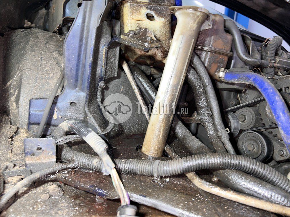 Фото Vortex Estina 32