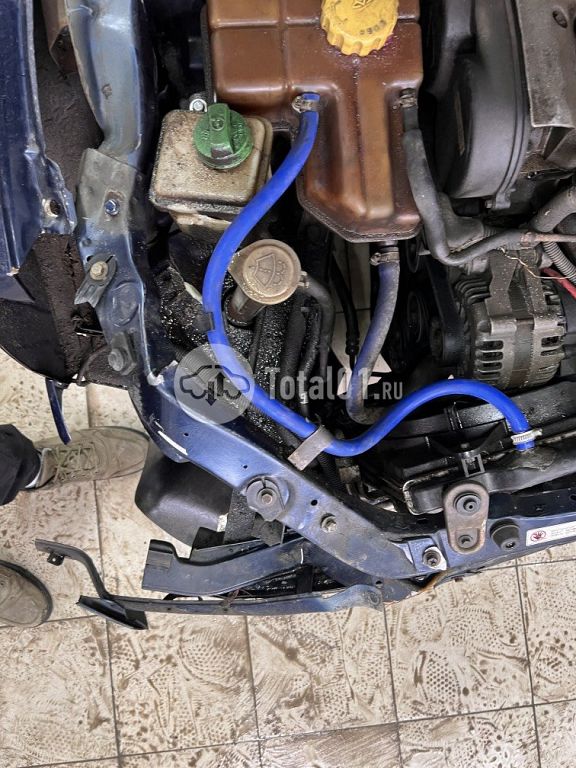 Фото Vortex Estina 36