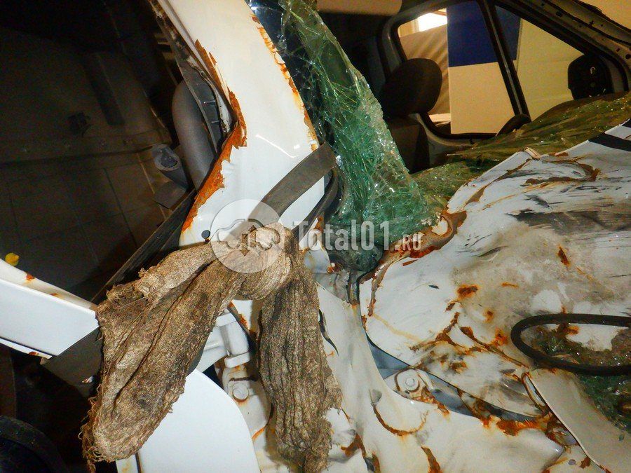 Фото Sollers ATLANT 122