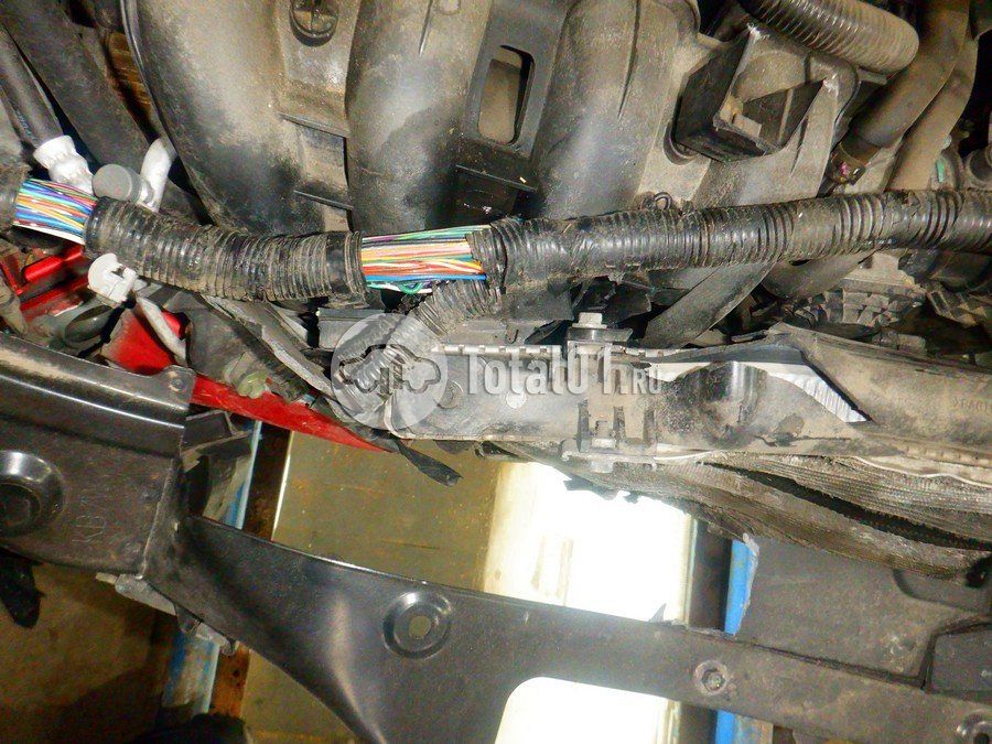 Фото Mazda CX-5 244