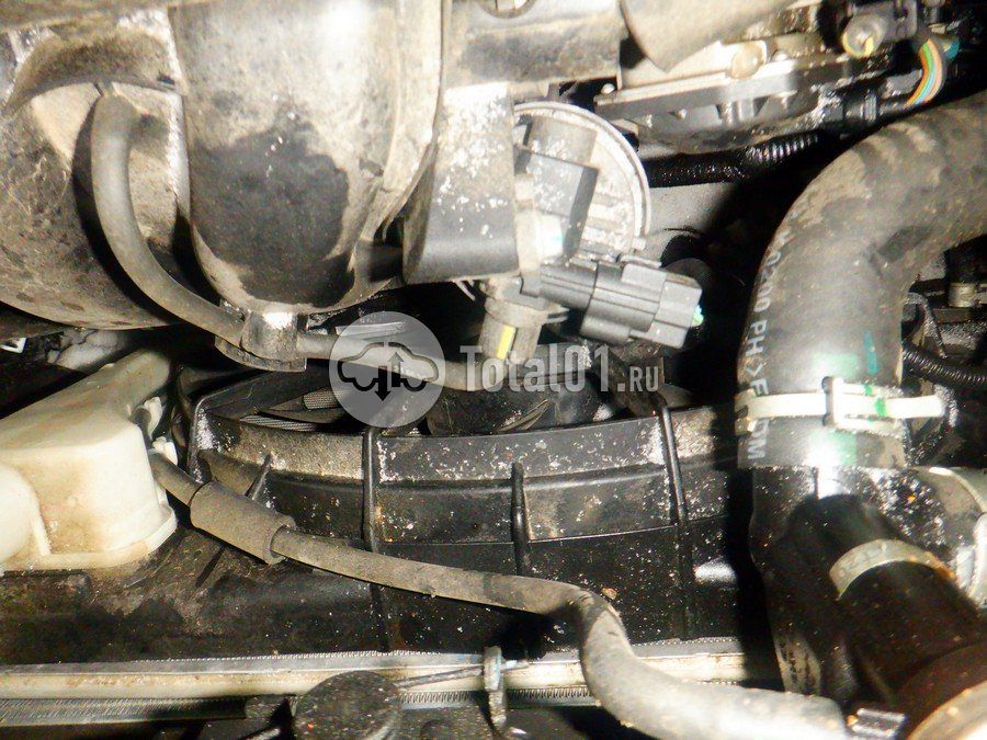 Фото KIA Soul 336