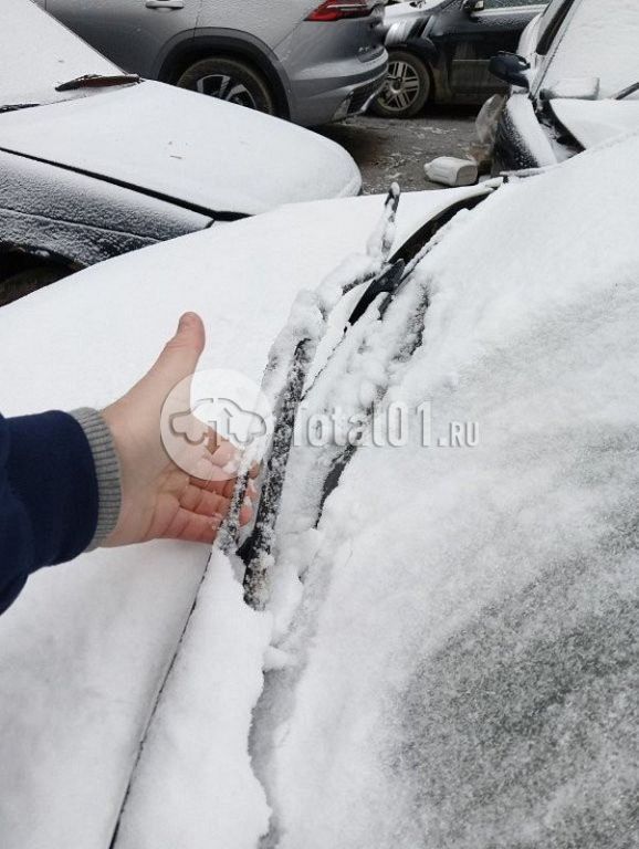 Фото Volkswagen Golf Sportsvan 290