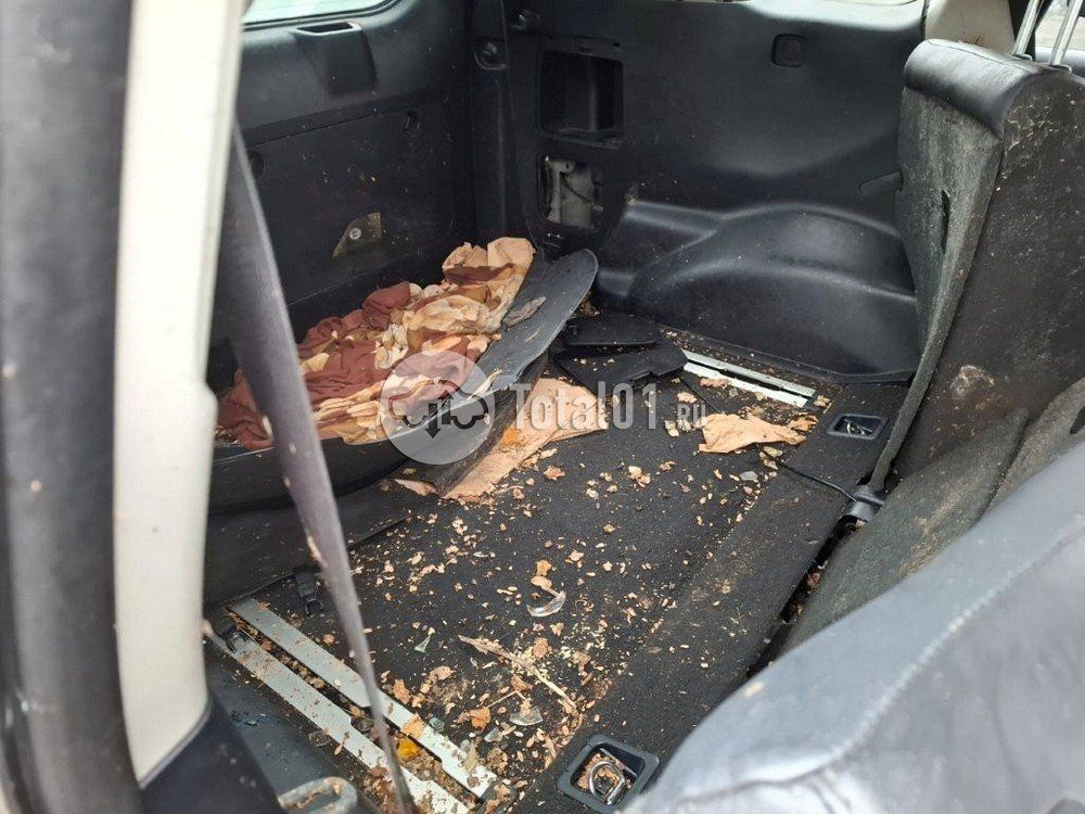 Фото Toyota Land Cruiser Prado 70