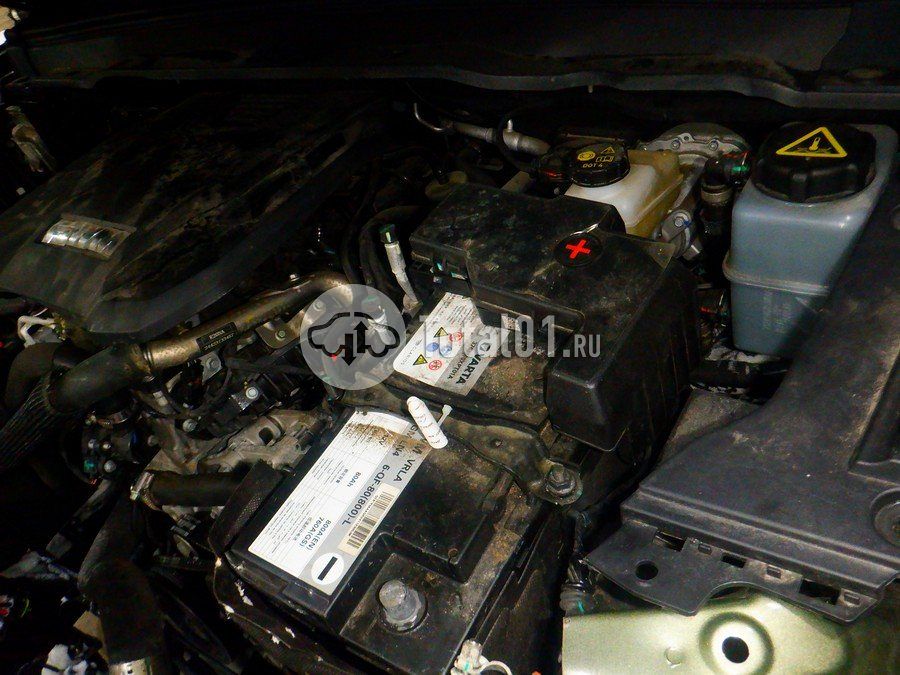 Фото GWM Tank 400 224