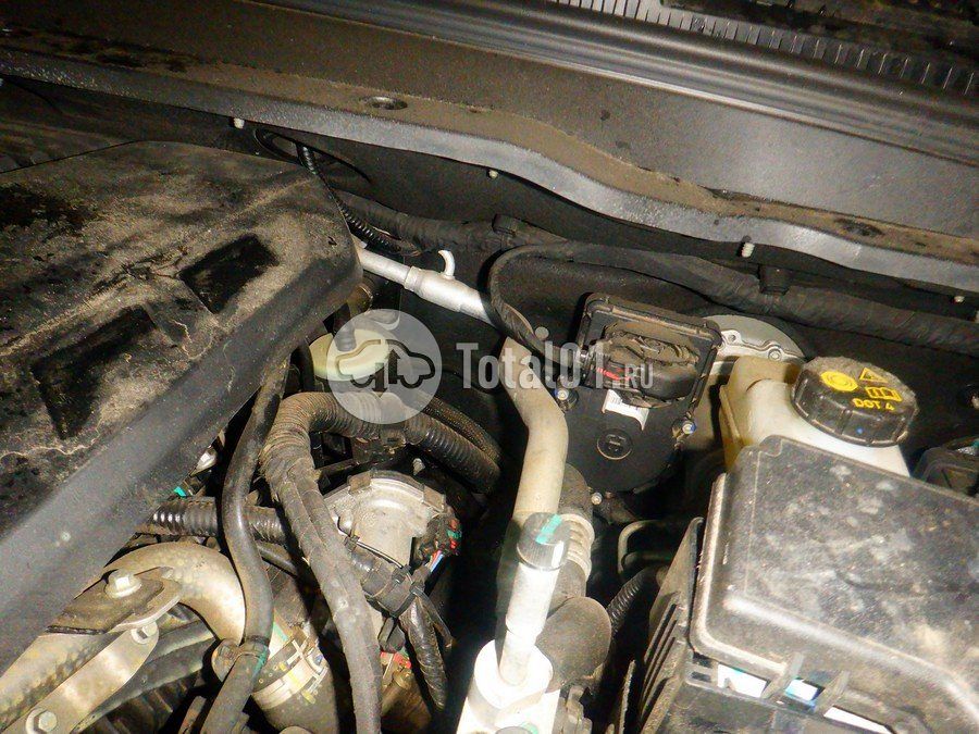 Фото GWM Tank 400 242