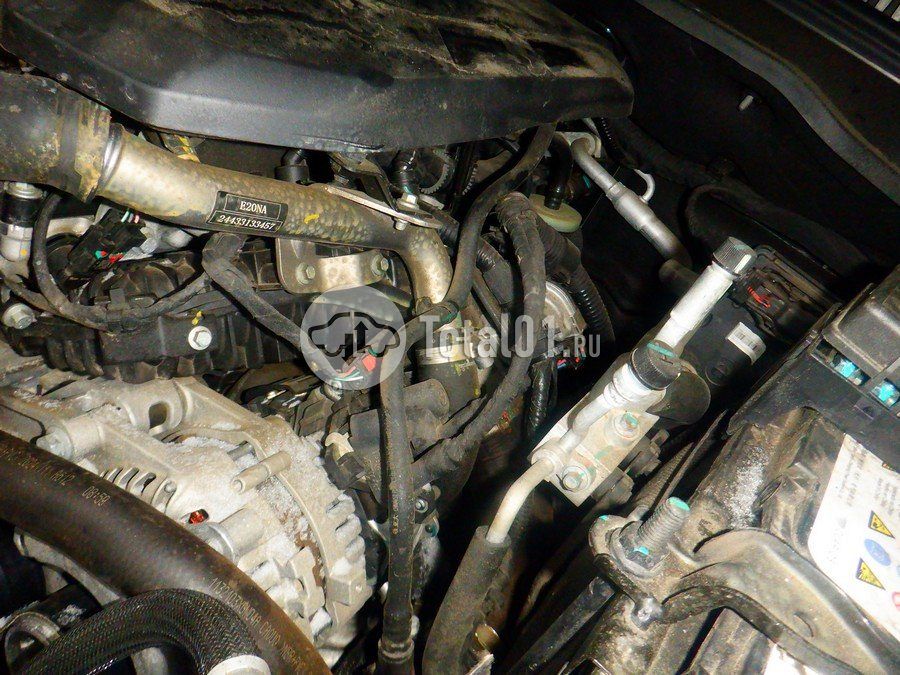 Фото GWM Tank 400 244