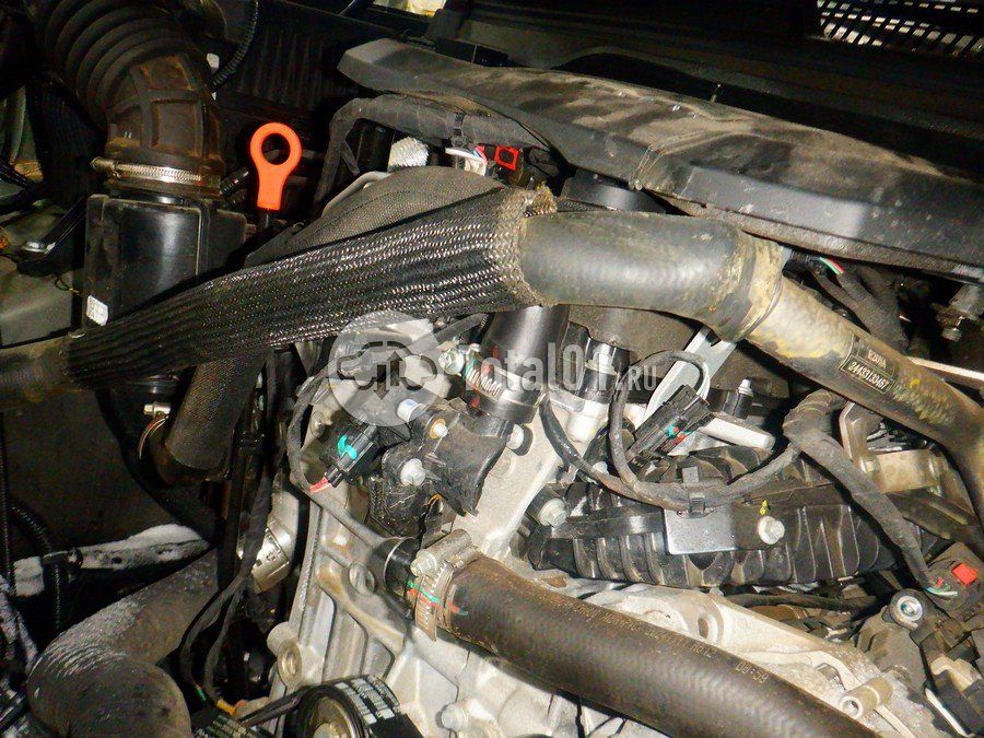 Фото GWM Tank 400 246