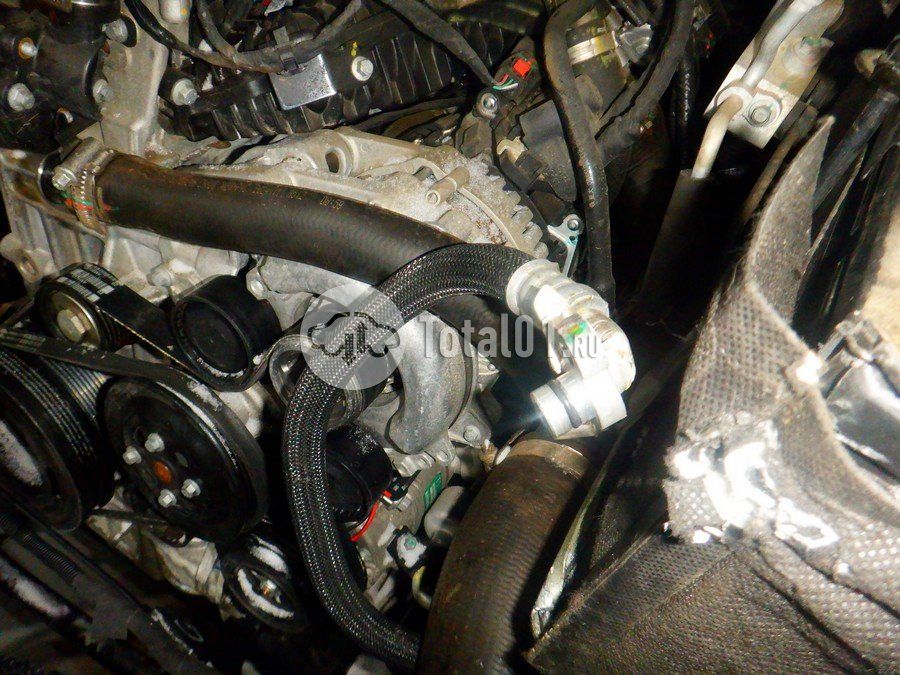 Фото GWM Tank 400 248