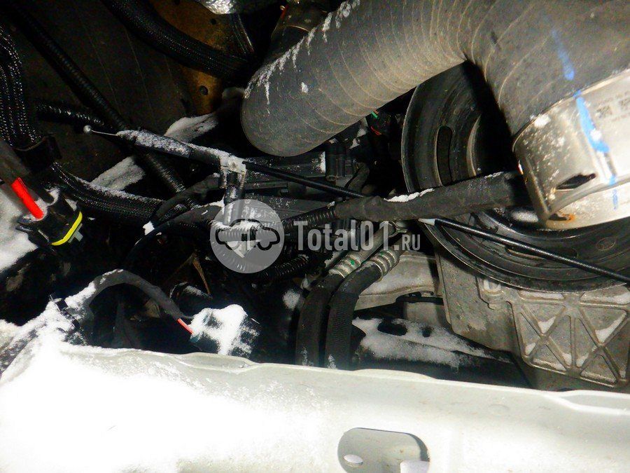 Фото GWM Tank 400 262