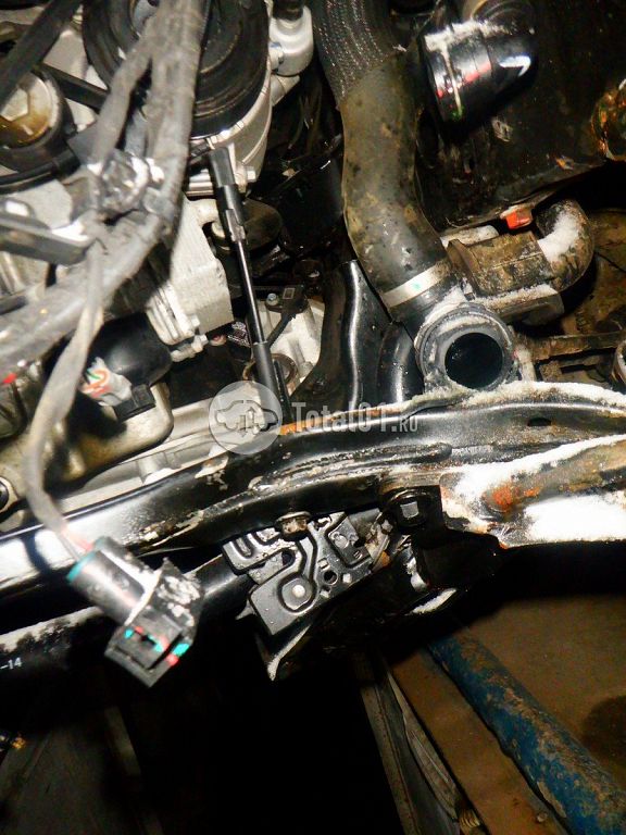 Фото GWM Tank 400 266