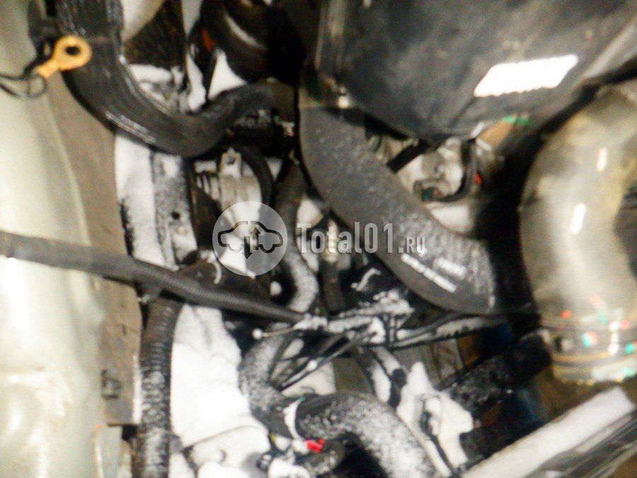 Фото GWM Tank 400 282