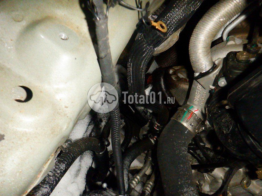 Фото GWM Tank 400 284