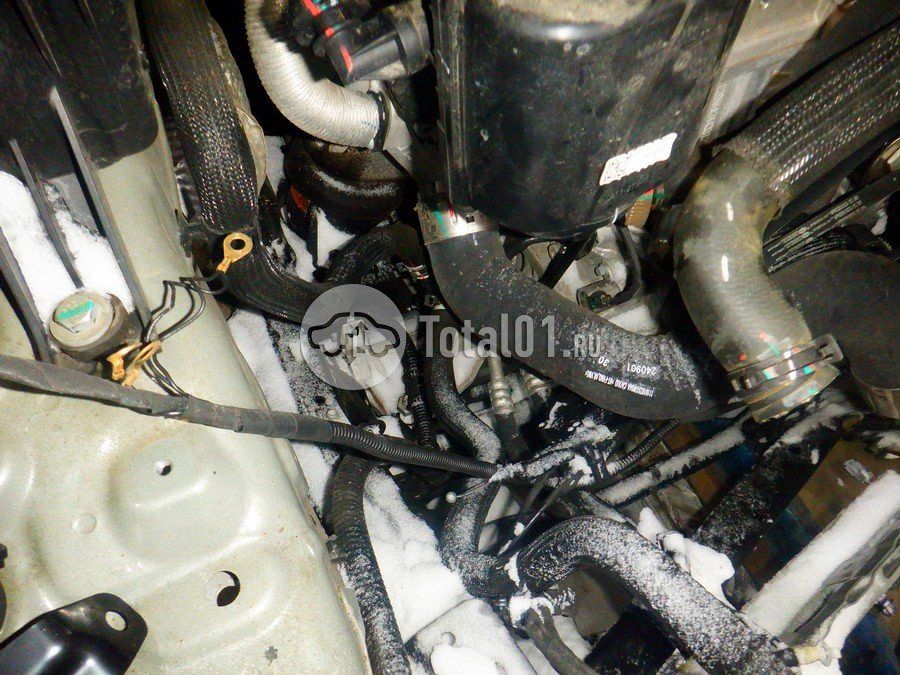 Фото GWM Tank 400 290