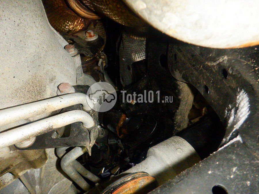 Фото GWM Tank 400 354