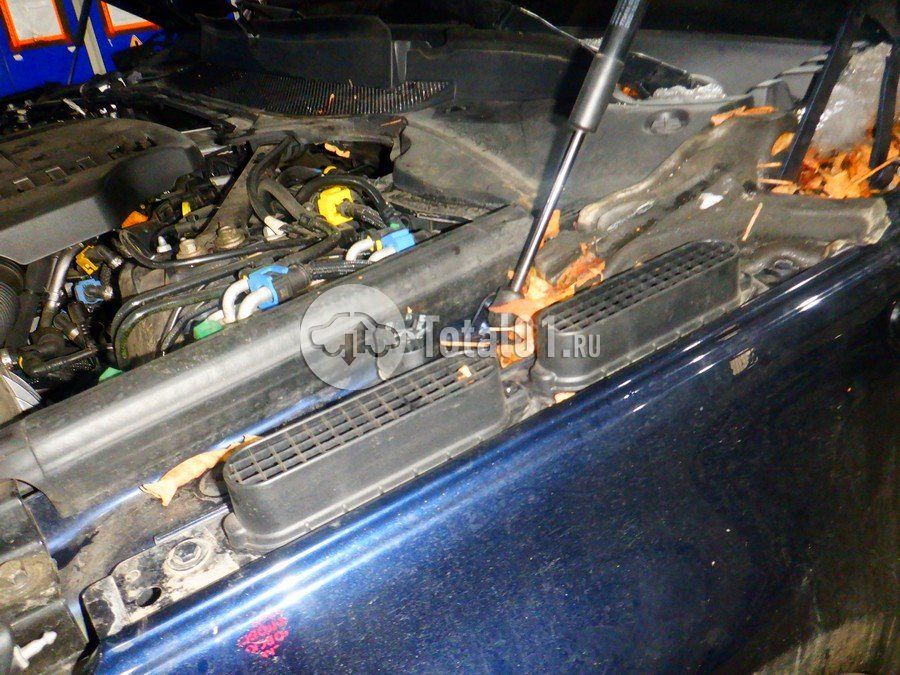 Фото Land Rover Range Rover Sport 190